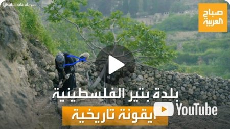 صباح العربية